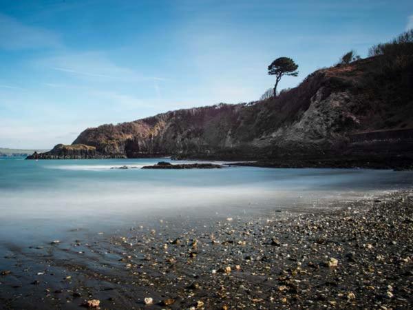 Rose Cottage, St. Dogmaels Cardigan Esterno foto
